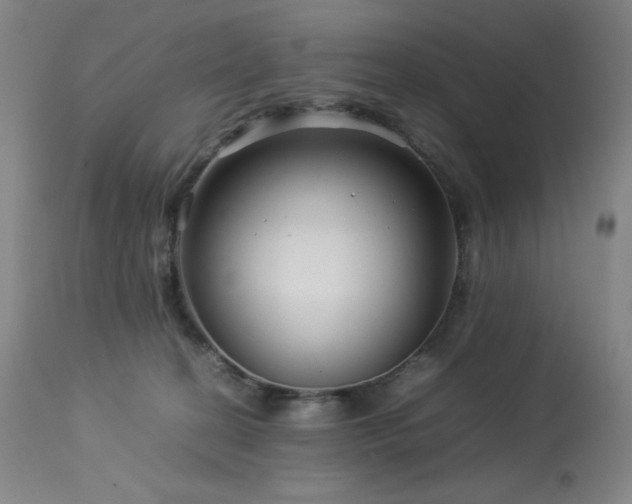 X0000114010274200910021350