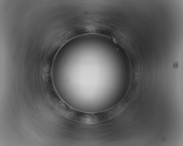 X0000114010275200910021350