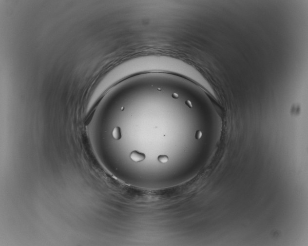 X0000114010276200910021350