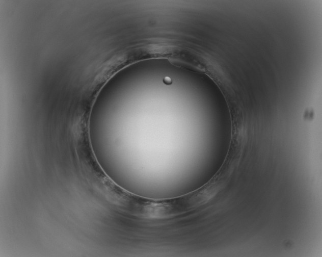 X0000114010277200910021350