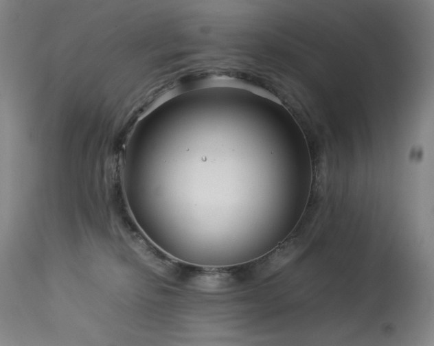 X0000114010278200910021350