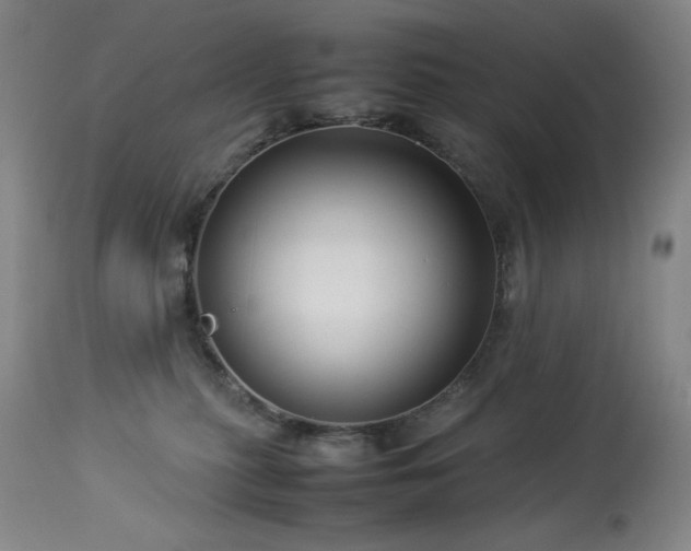 X0000114010279200910021350