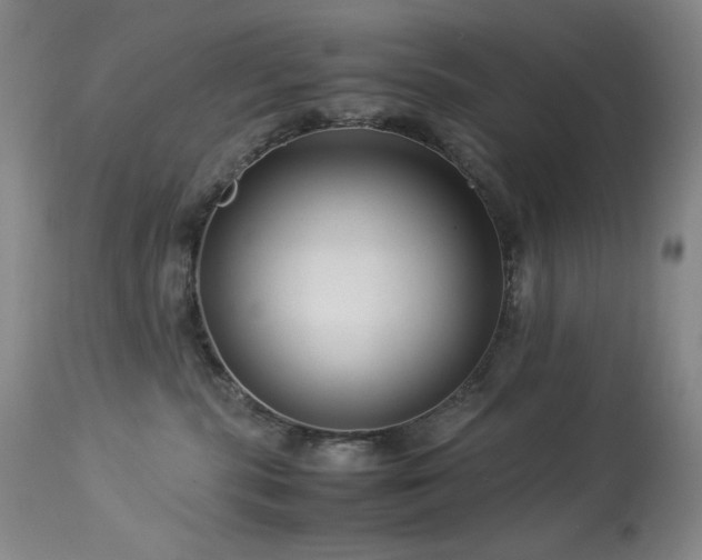X0000114010283200910021350
