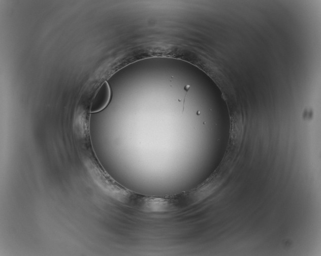 X0000114010287200910021350