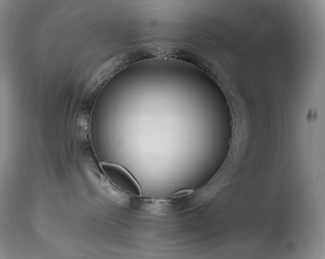 X0000114010288200910021350