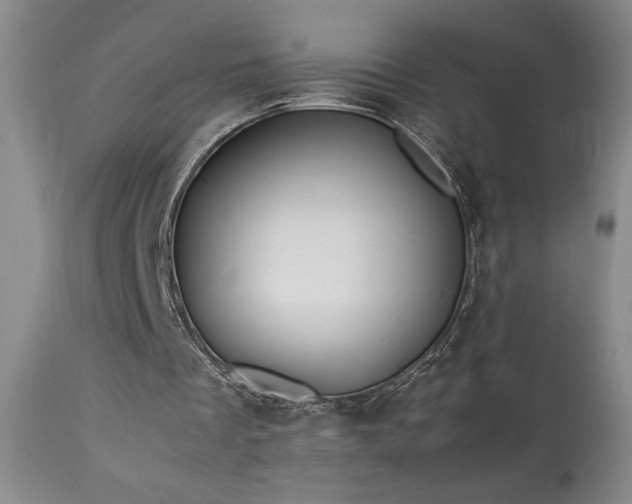 X0000114010289200910021349