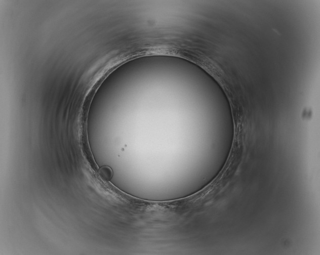 X0000114010290200910021349