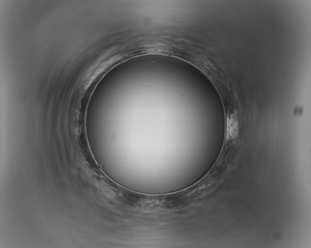 X0000114010291200910021349