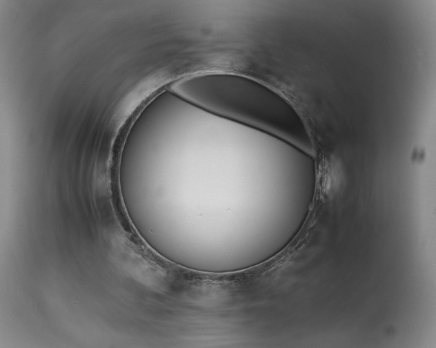 X0000114010292200910021349
