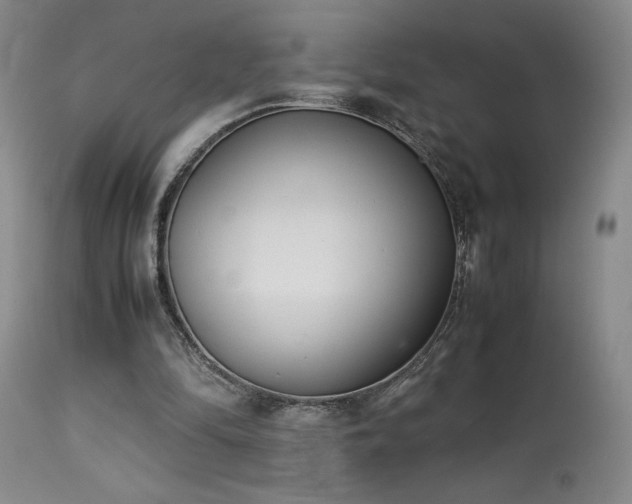 X0000114010294200910021349