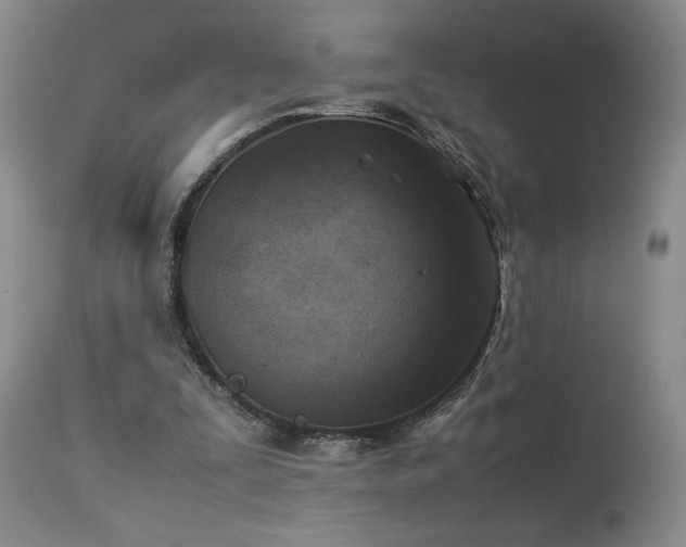 X0000114010295200910021349