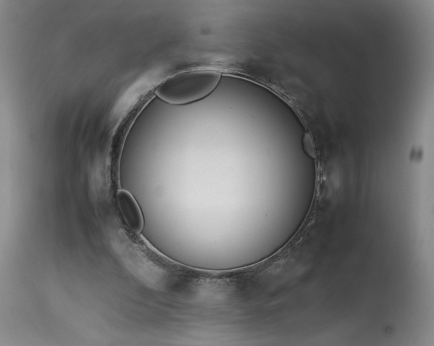 X0000114010296200910021349
