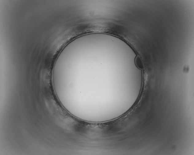 X0000114010297200910021349