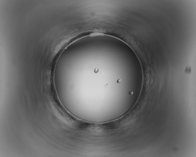X0000114010299200910021349