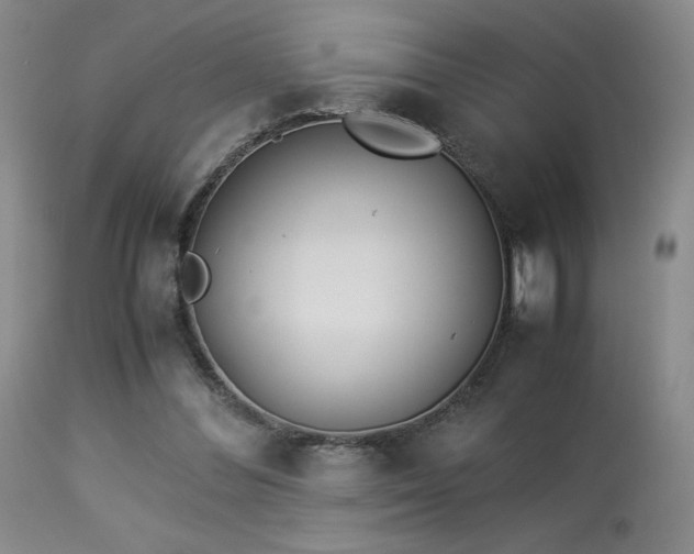 X0000114010300200910021349