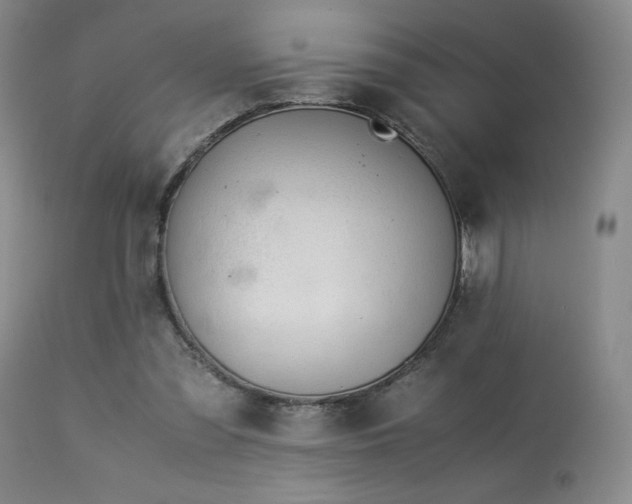 X0000114010301200910021349