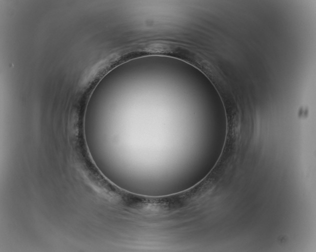 X0000114010303200910021349