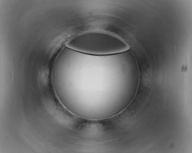 X0000114010304200910021349