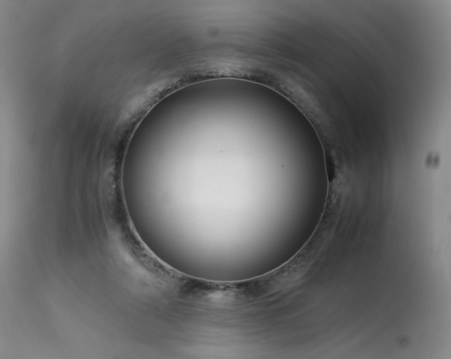 X0000114010306200910021349