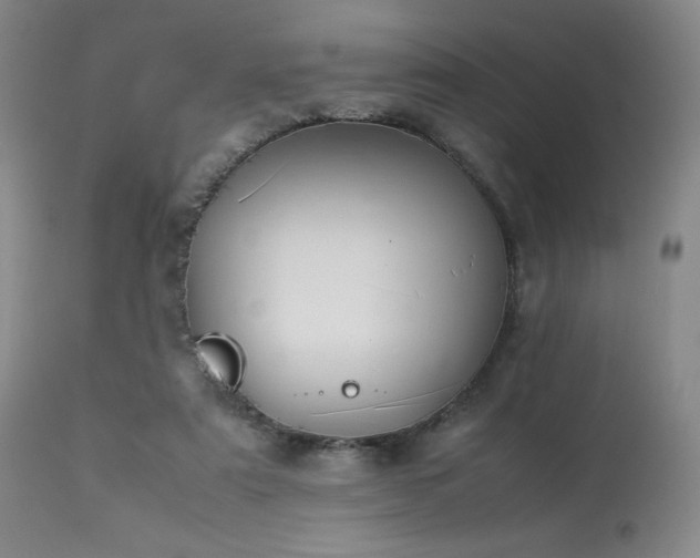 X0000114010307200910021349