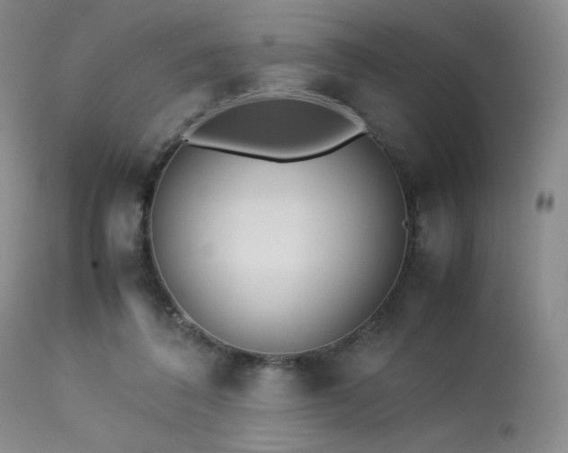 X0000114010308200910021349