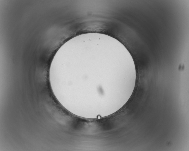 X0000114010309200910021349