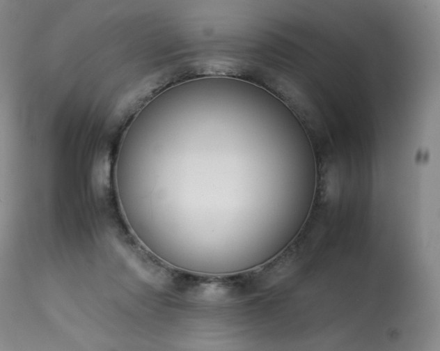 X0000114010310200910021349