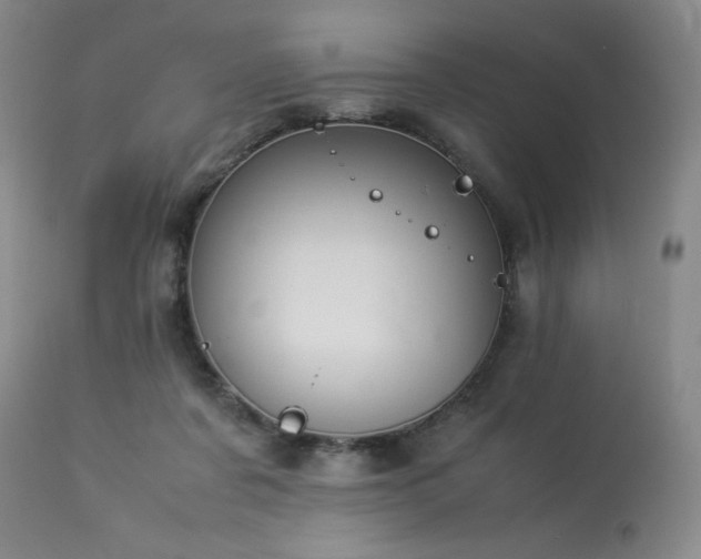 X0000114010311200910021349