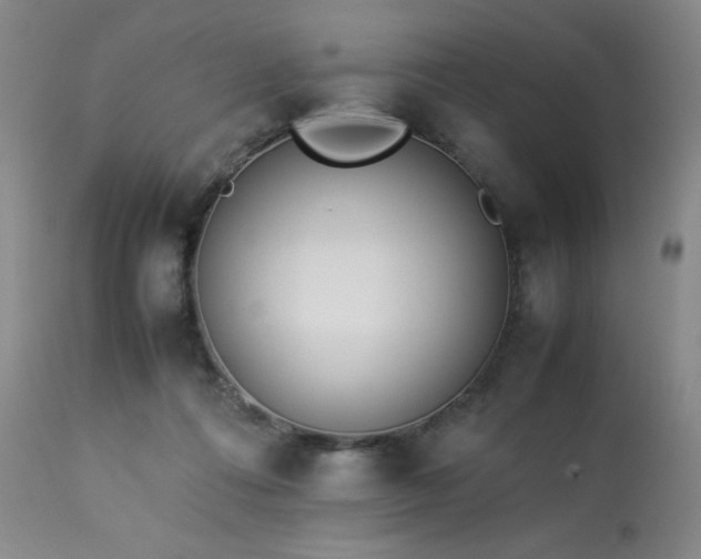 X0000114010312200910021349