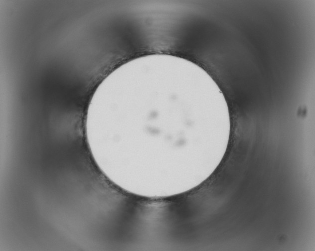 X0000114010313200910021349