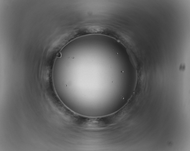 X0000114010315200910021349