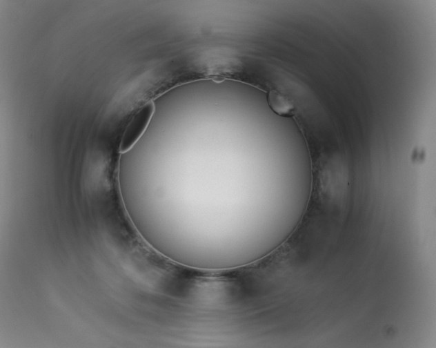 X0000114010316200910021349