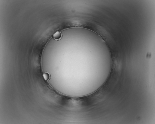X0000114010317200910021349