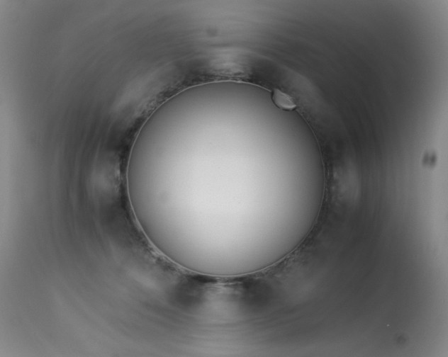 X0000114010320200910021349