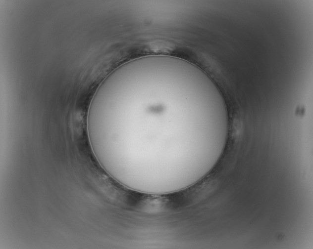 X0000114010321200910021349