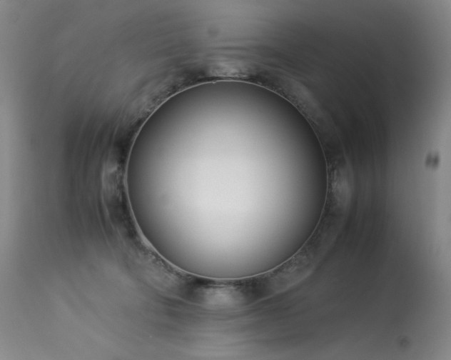X0000114010322200910021349