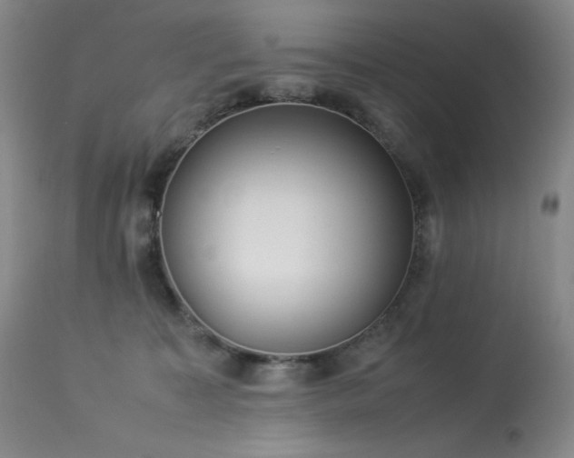 X0000114010323200910021349