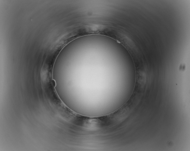 X0000114010324200910021349