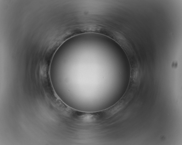 X0000114010326200910021349