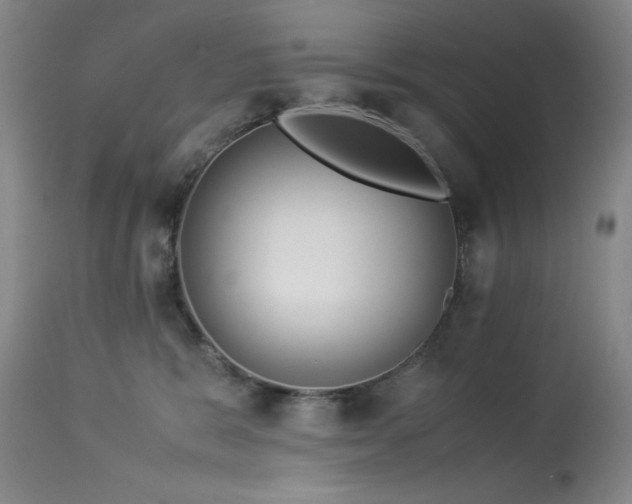 X0000114010327200910021349