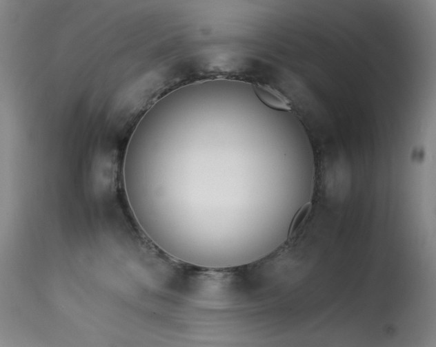 X0000114010328200910021349