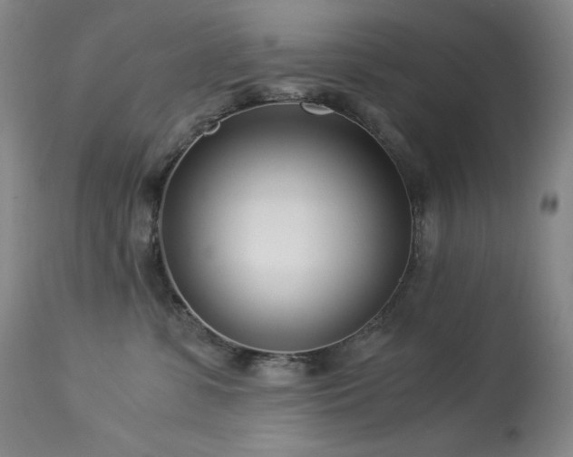 X0000114010331200910021349