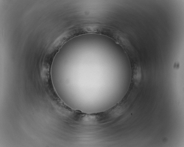 X0000114010332200910021349