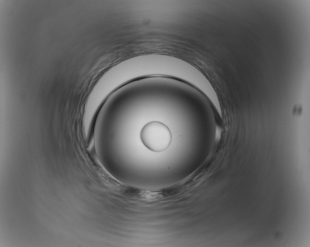 X0000114010333200910021349