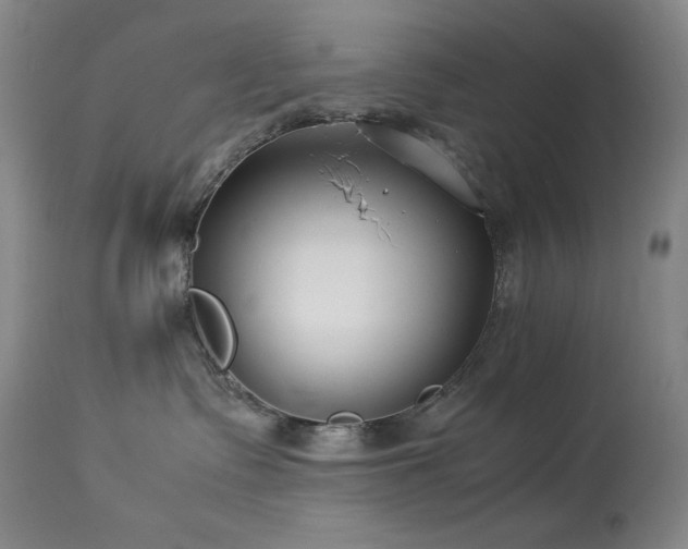 X0000114010335200910021349
