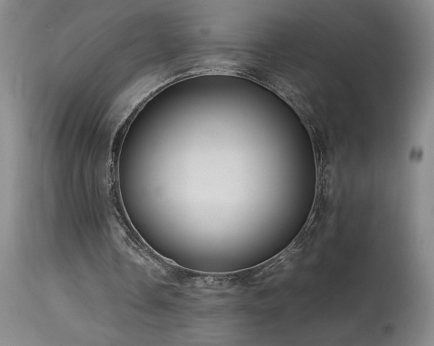 X0000114010338200910021348