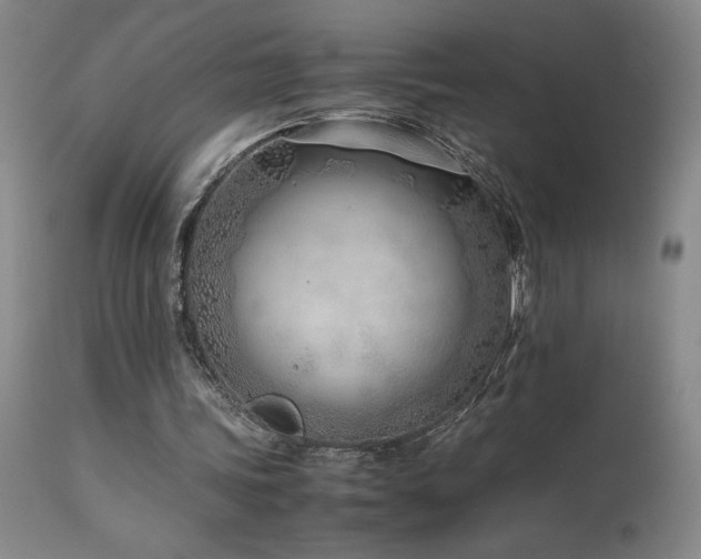 X0000114010339200910021348
