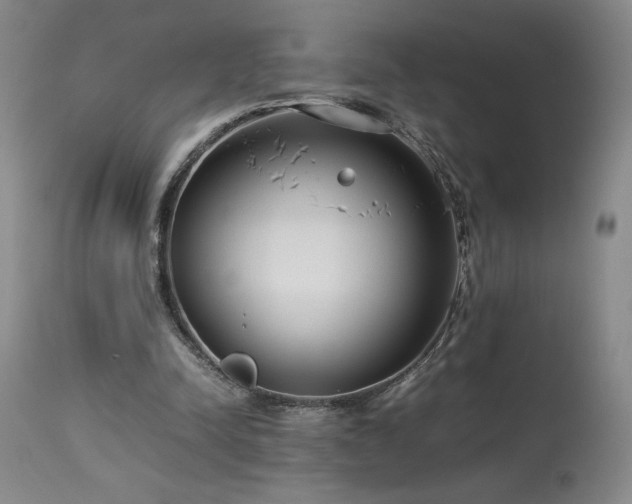 X0000114010342200910021348