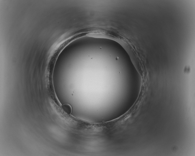 X0000114010343200910021348