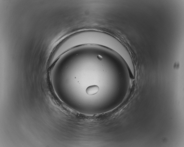 X0000114010344200910021348